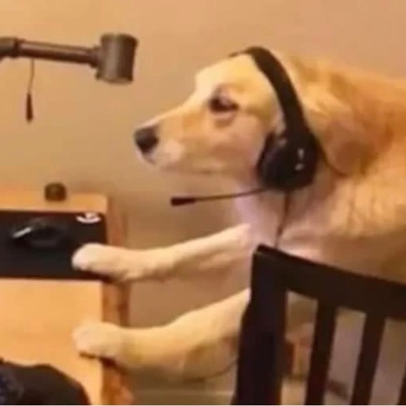 Meet your Posher, Jaciel - Picture 1 of 1